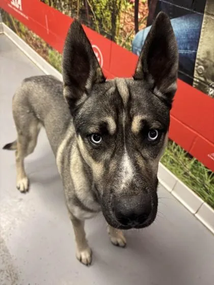 Tycho Bonded With Kai