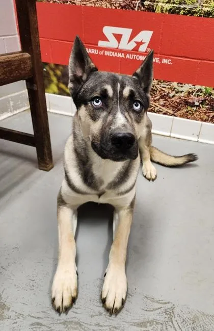 Tycho Bonded With Kai thumbnail 2