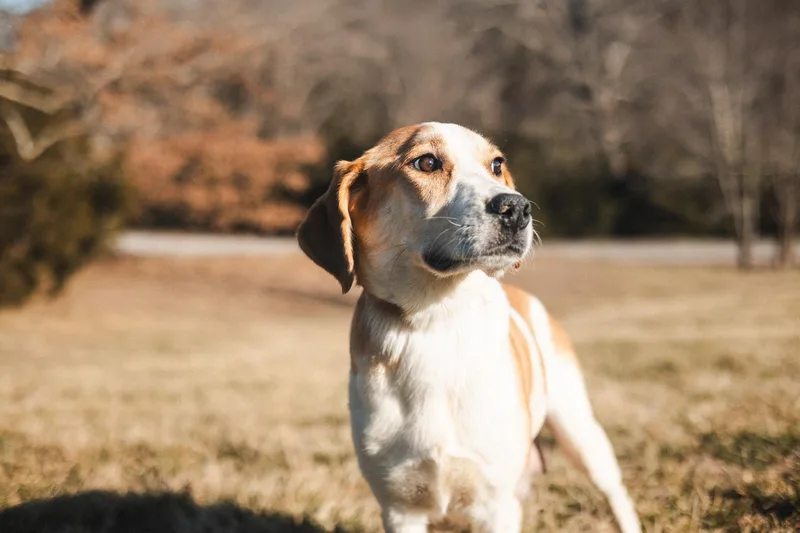 Margaret thumbnail 2