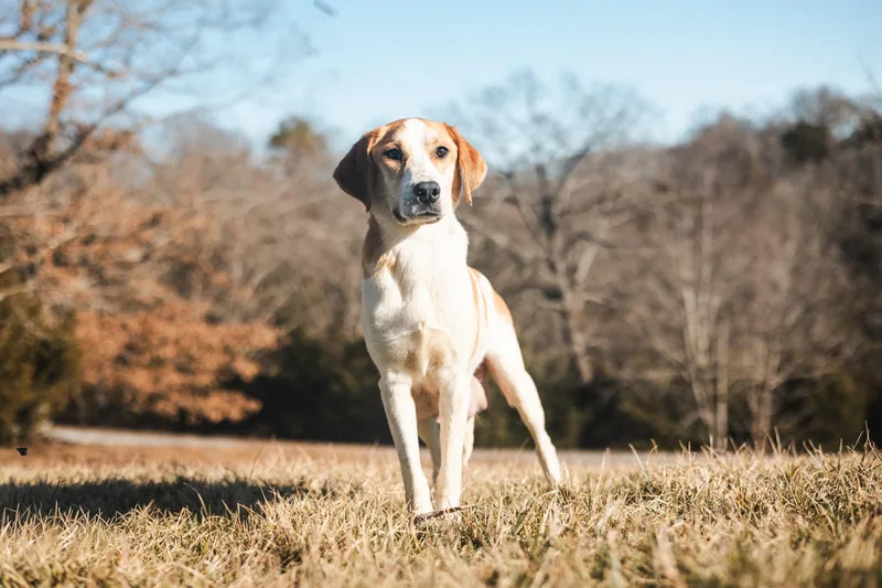 Margaret thumbnail 5