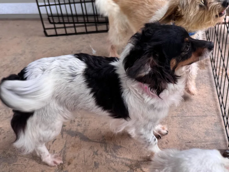 Rita Mae thumbnail 2