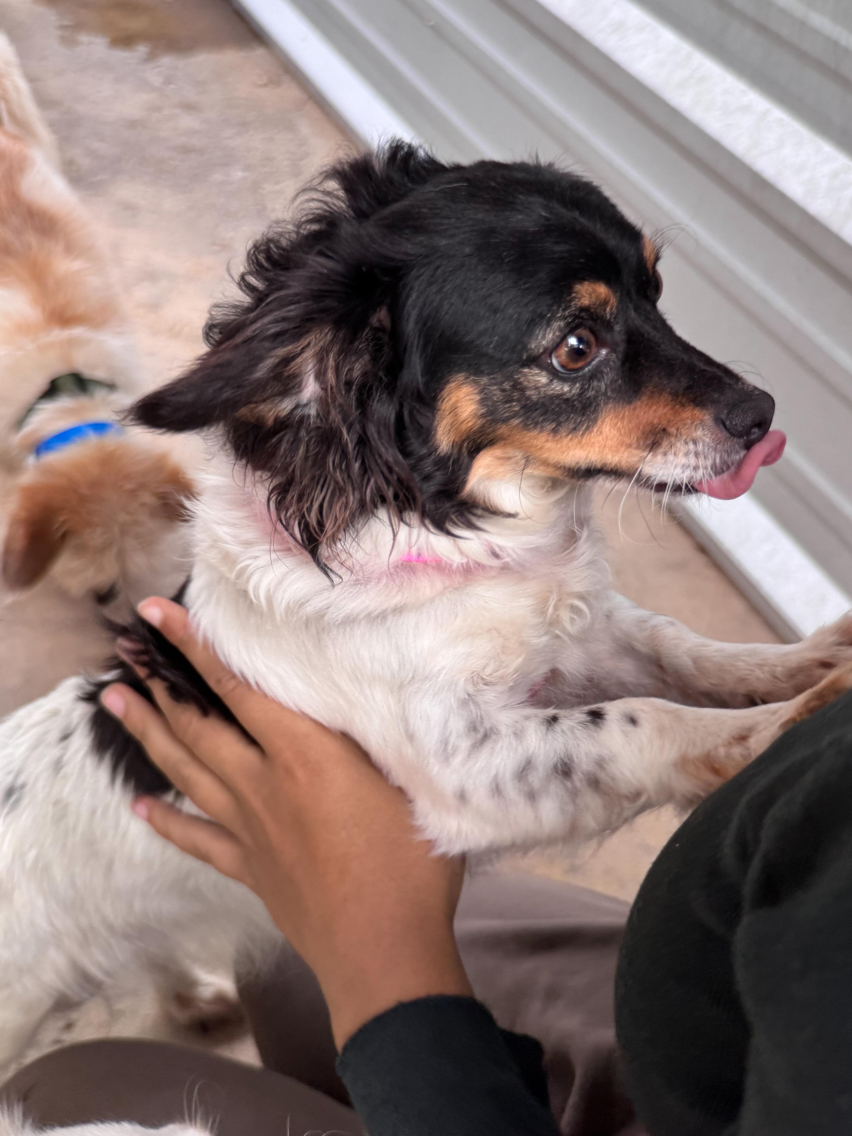 Rita Mae thumbnail 3