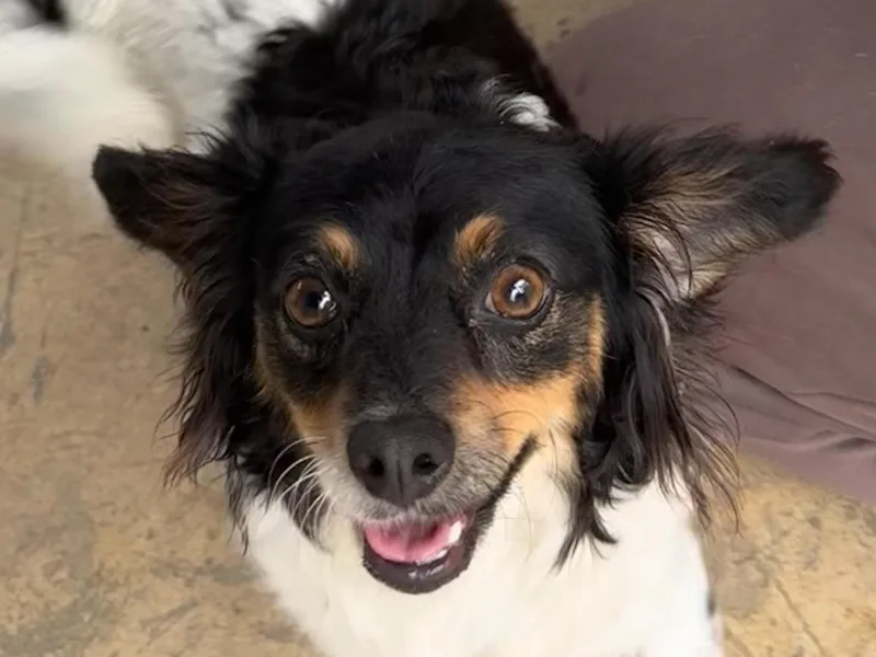 Rita Mae thumbnail 4