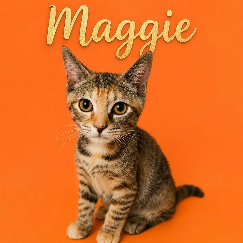 Maggie thumbnail 2