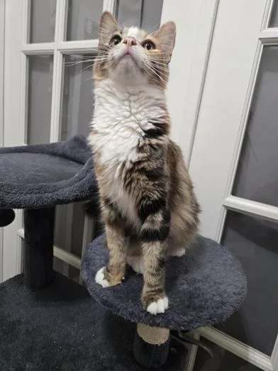 Bootsie thumbnail 3