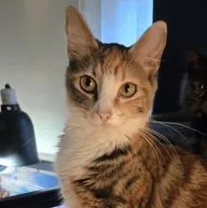 Bootsie thumbnail 4