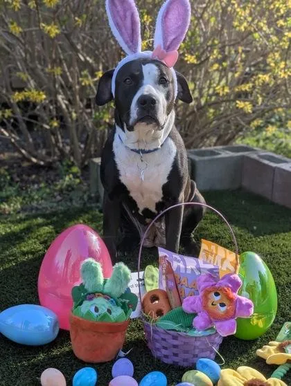 Kathy Bates thumbnail 3