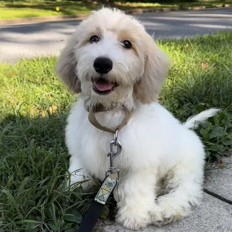 Charlie