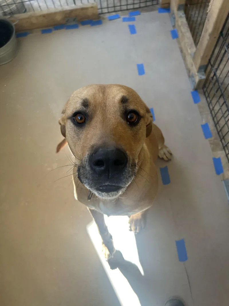 Hazel Jm thumbnail 2