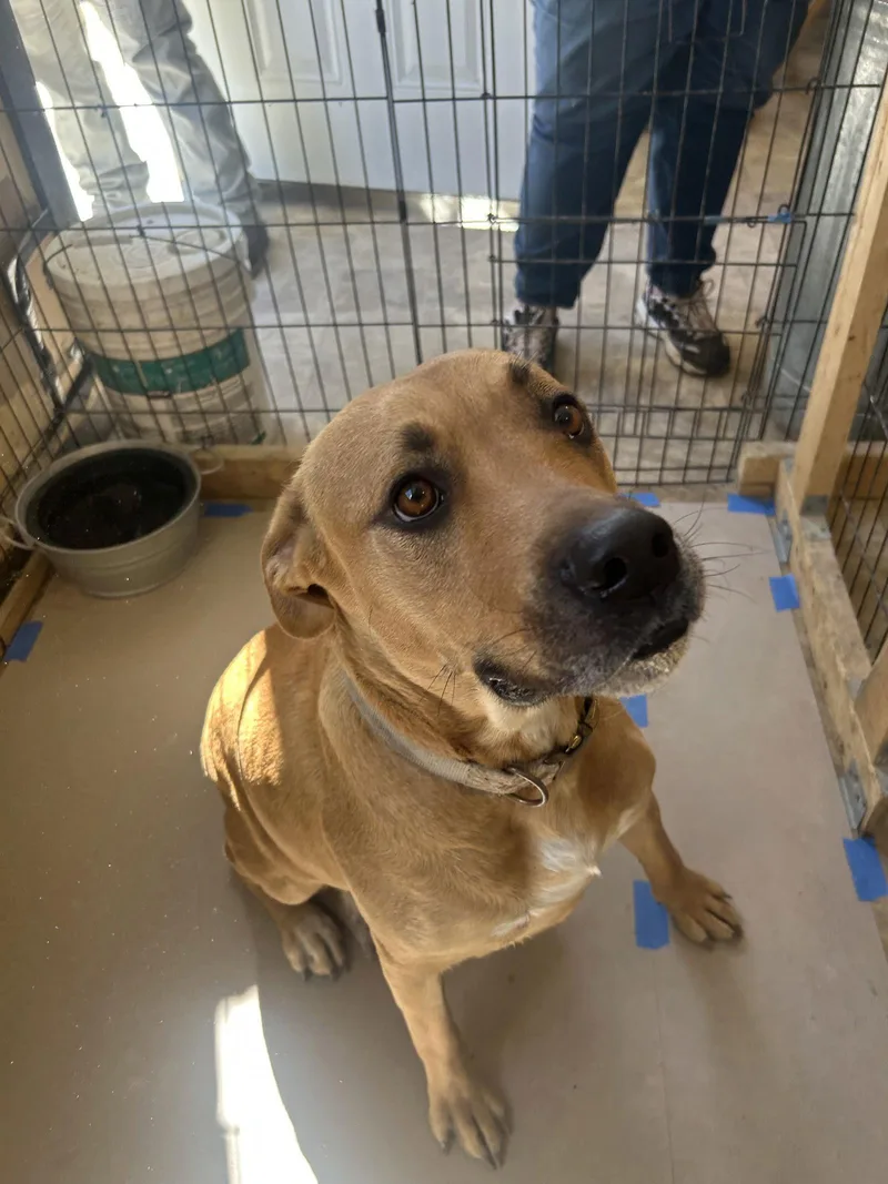 Hazel Jm thumbnail 3