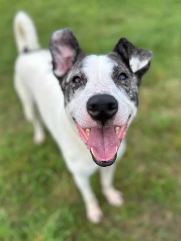 Sally Ann thumbnail 2