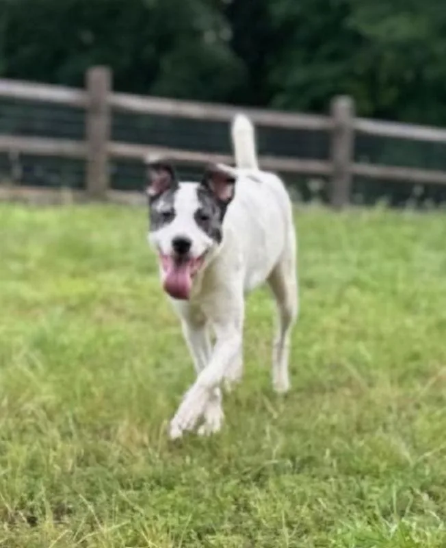 Sally Ann thumbnail 3