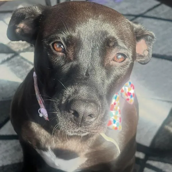 Chloe