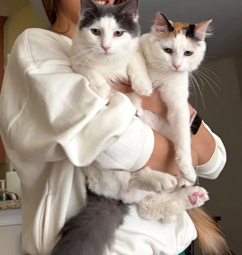 Valentine thumbnail 3