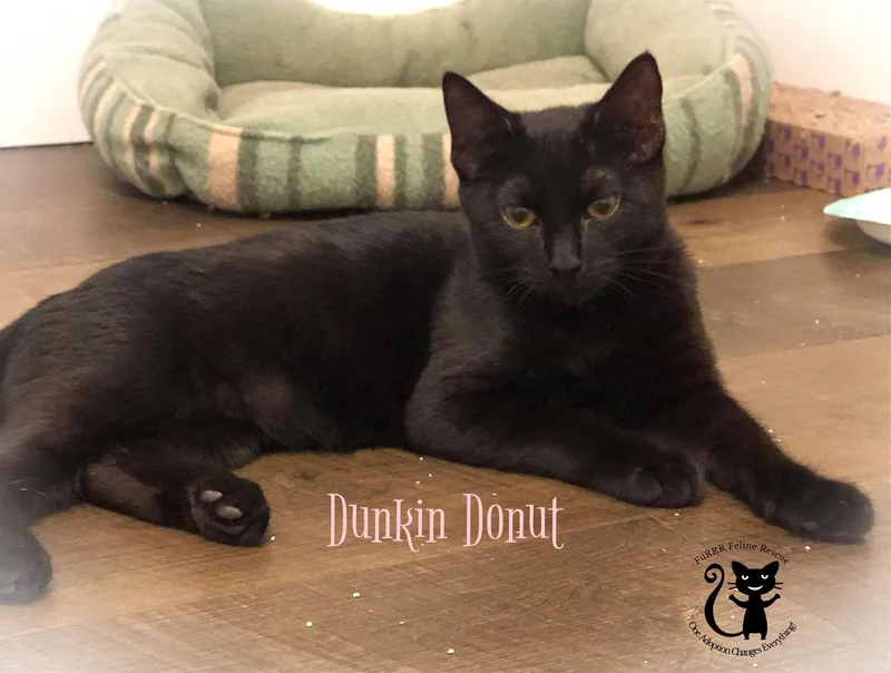 Luz And Meadow thumbnail 2