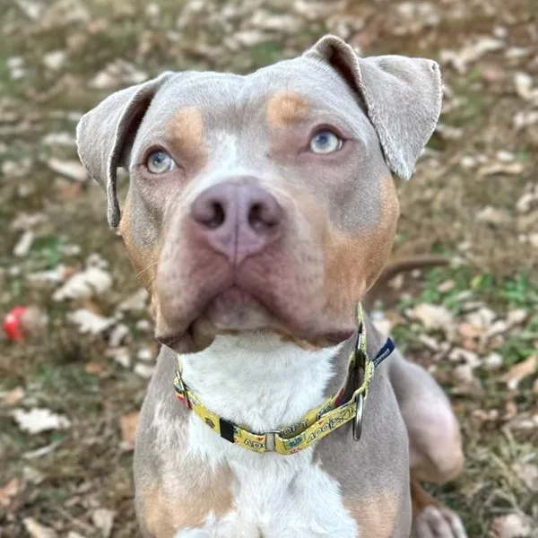 Paul Newman thumbnail 2