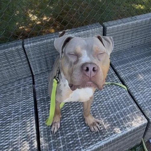 Paul Newman thumbnail 3