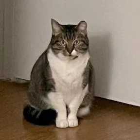 Hilary Duff thumbnail 2