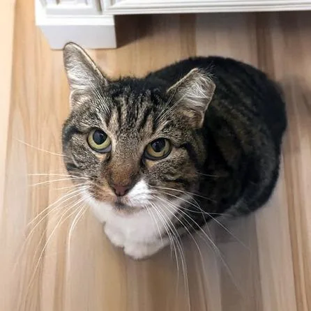 Hilary Duff thumbnail 3