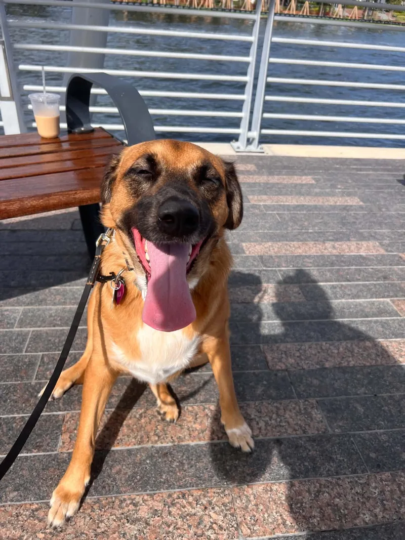 Nala