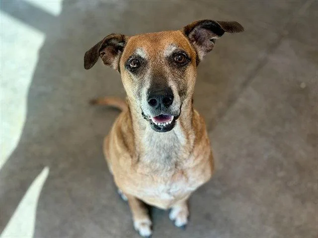 Luna