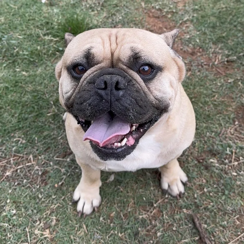 Benny