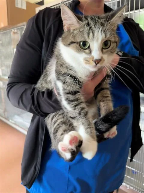Precious