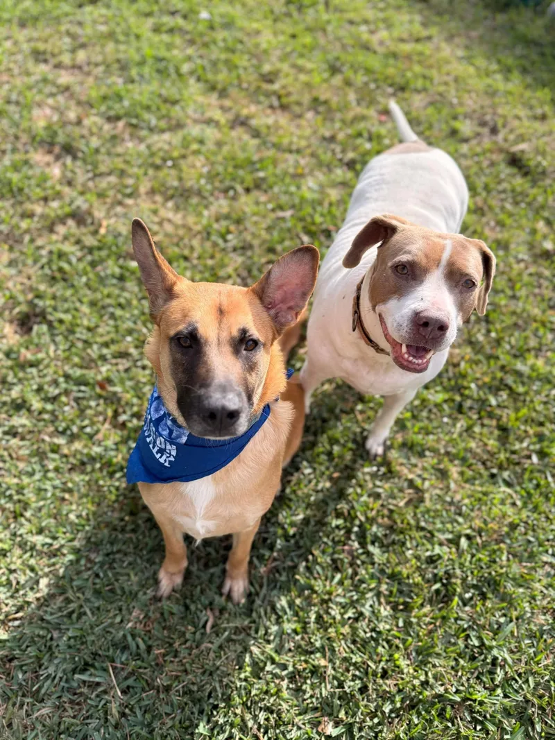 Miss East thumbnail 2