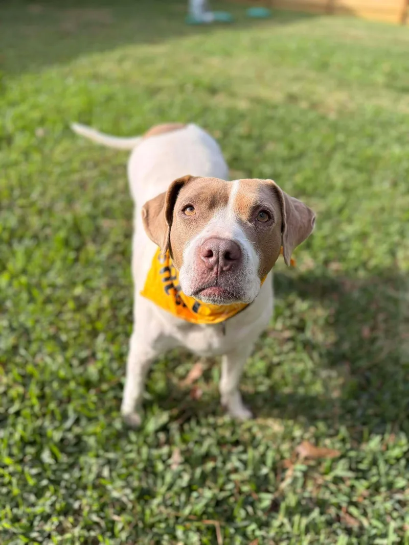 Miss East thumbnail 3