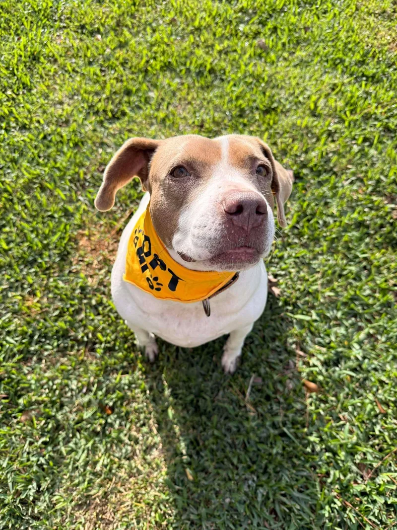 Miss East thumbnail 4