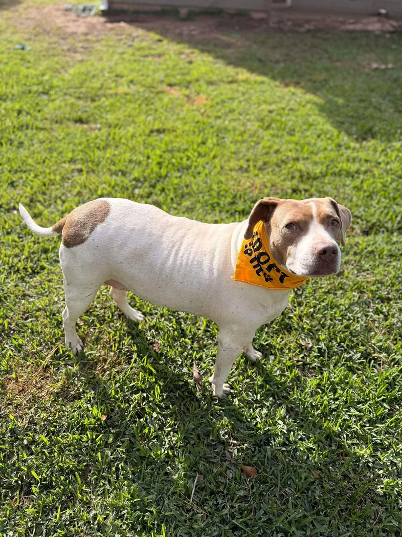 Miss East thumbnail 5