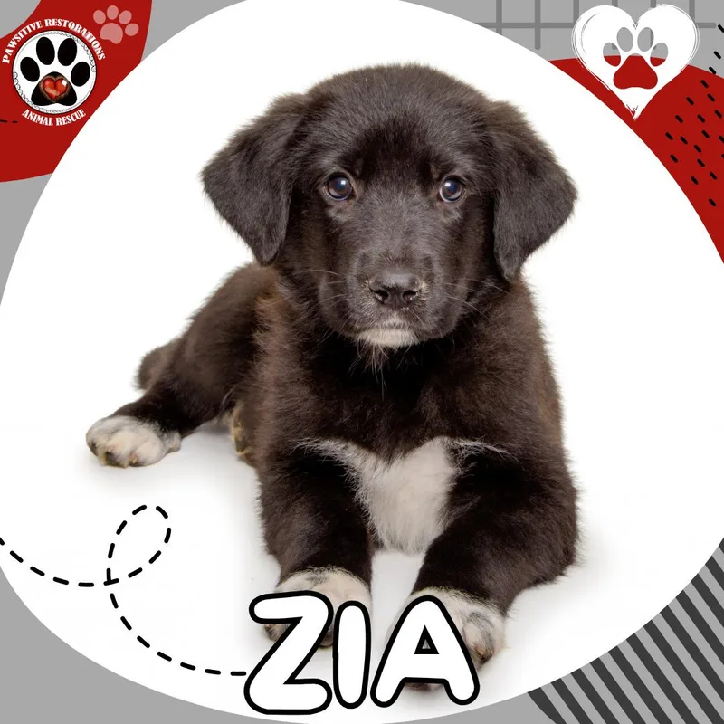 Zoe thumbnail 3