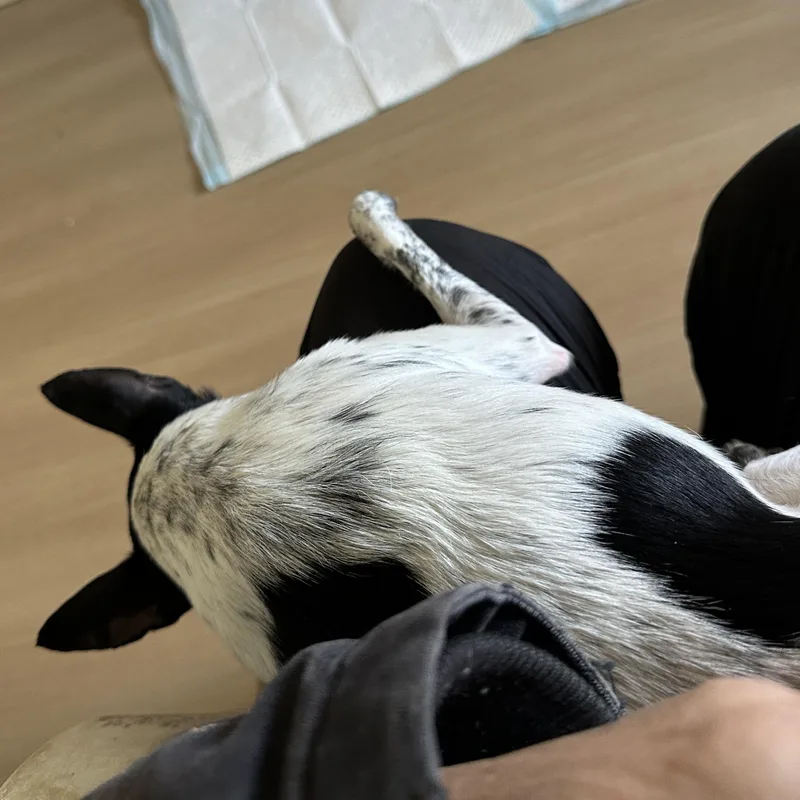 Loki thumbnail 2