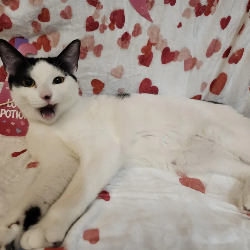 Ryan Reynolds thumbnail 3