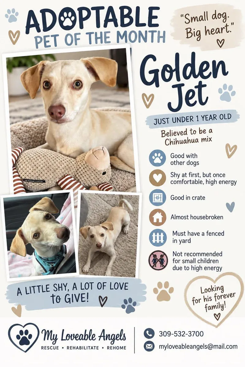 Golden Jet thumbnail 2