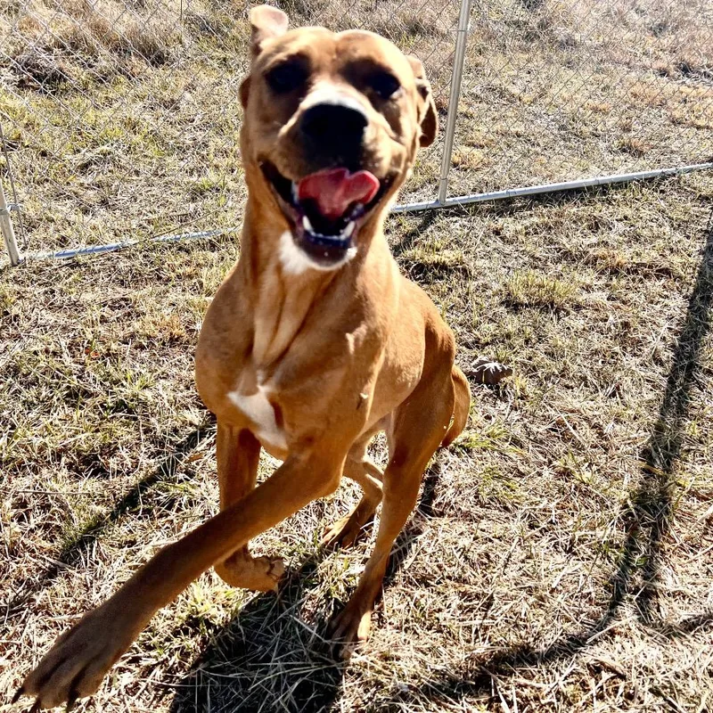 Mother Nature thumbnail 2