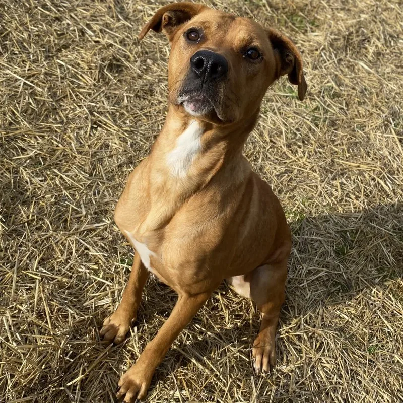 Mother Nature thumbnail 3