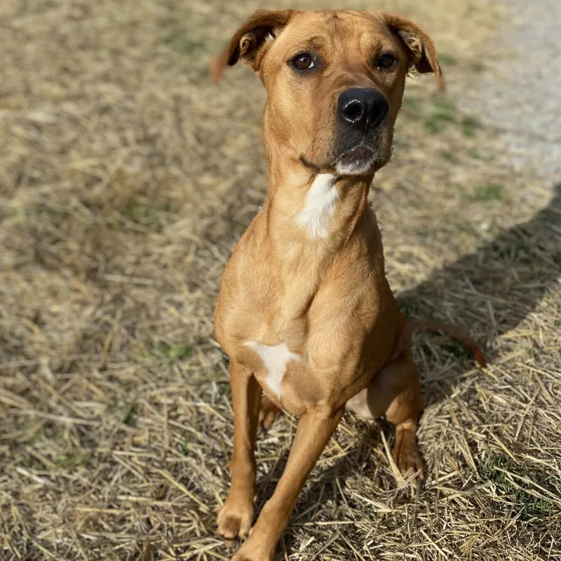 Mother Nature thumbnail 4