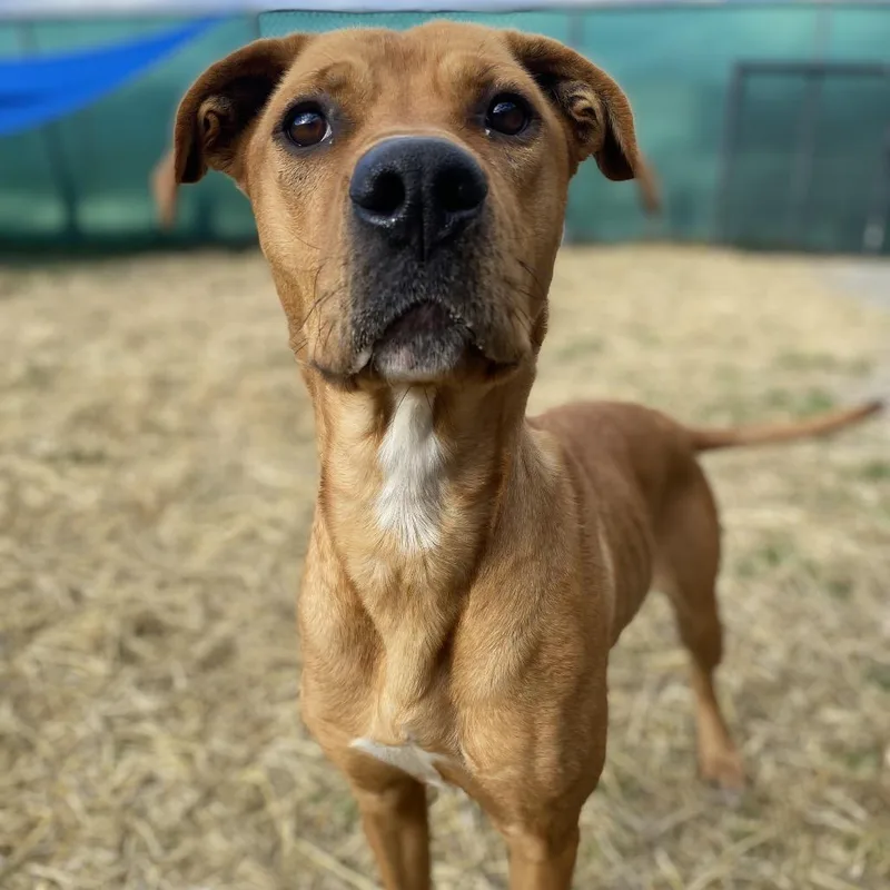 Mother Nature thumbnail 5