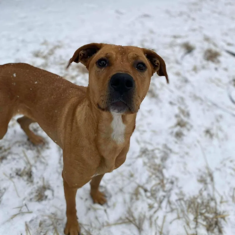 Mother Nature thumbnail 6