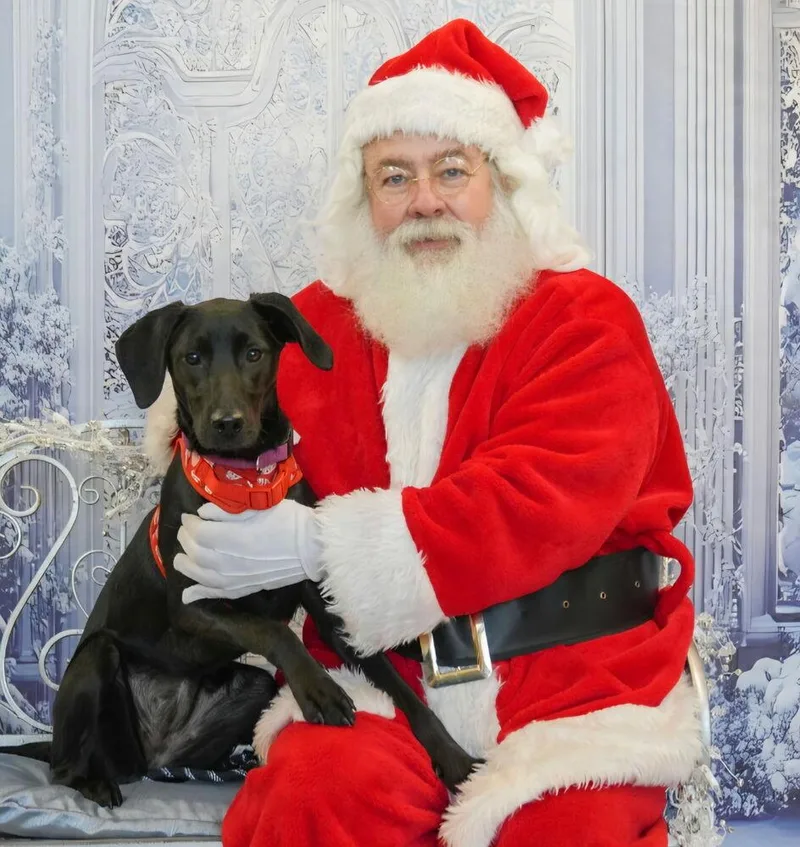 Onyx Carter thumbnail 4