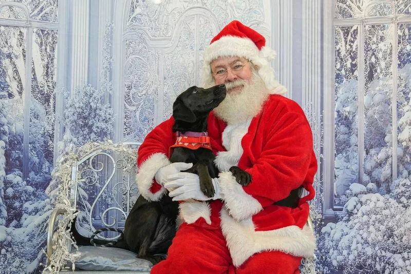 Onyx Carter thumbnail 6