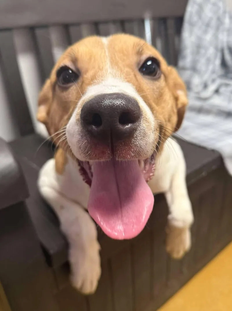 Cardi Luna thumbnail 2