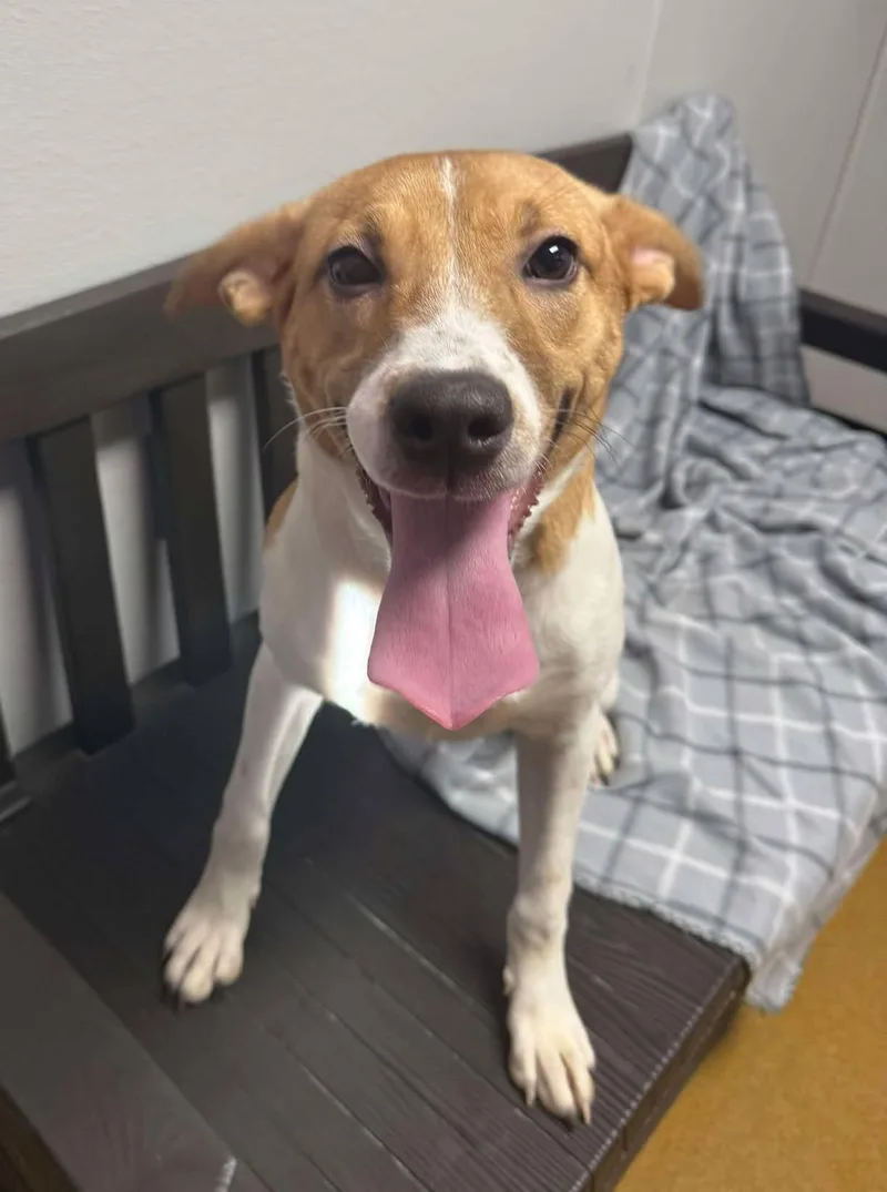 Cardi Luna thumbnail 4