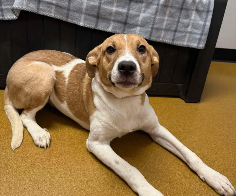 Cardi Luna thumbnail 5