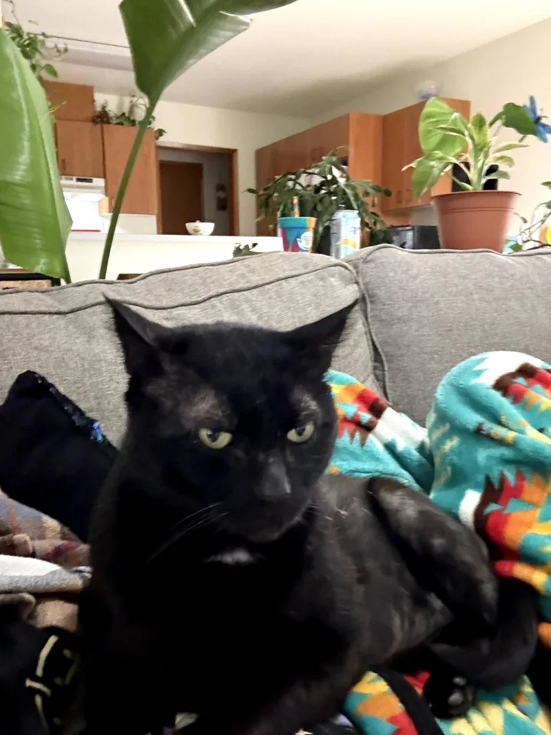 Sanford thumbnail 3