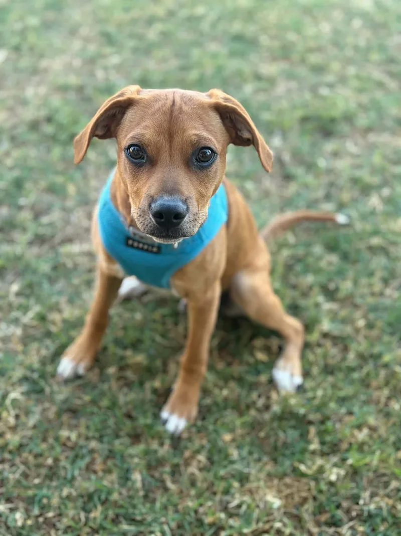 Jack