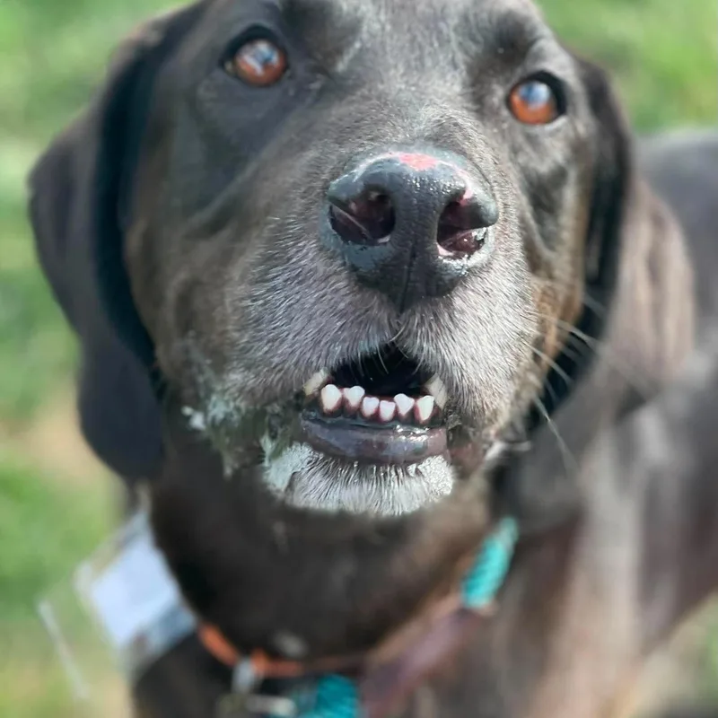 Jethro