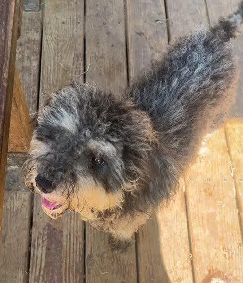 Maddie thumbnail 2