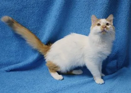 Sunshine thumbnail 2